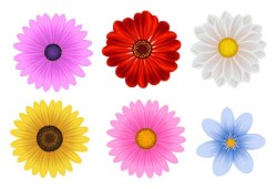 Bloemen 15
